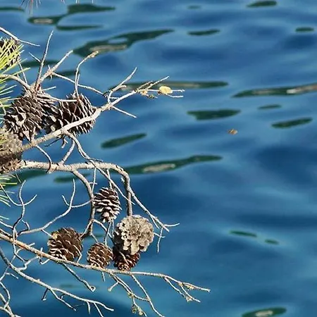 Morgen アパート ブラー