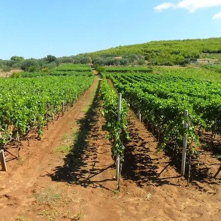 Morgen アパート ブラー