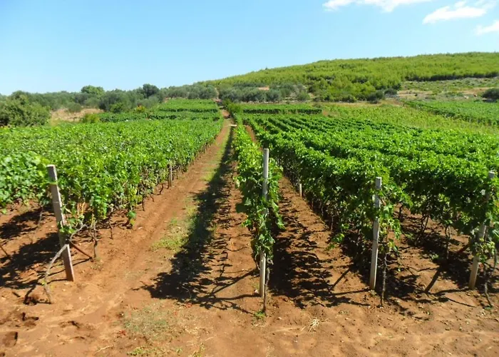 Morgen شقة برنا